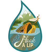 logo_hook-a-lip